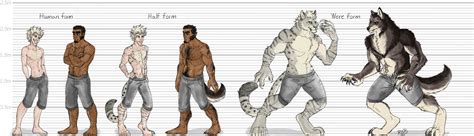 werecat vs werewolf|Werecats